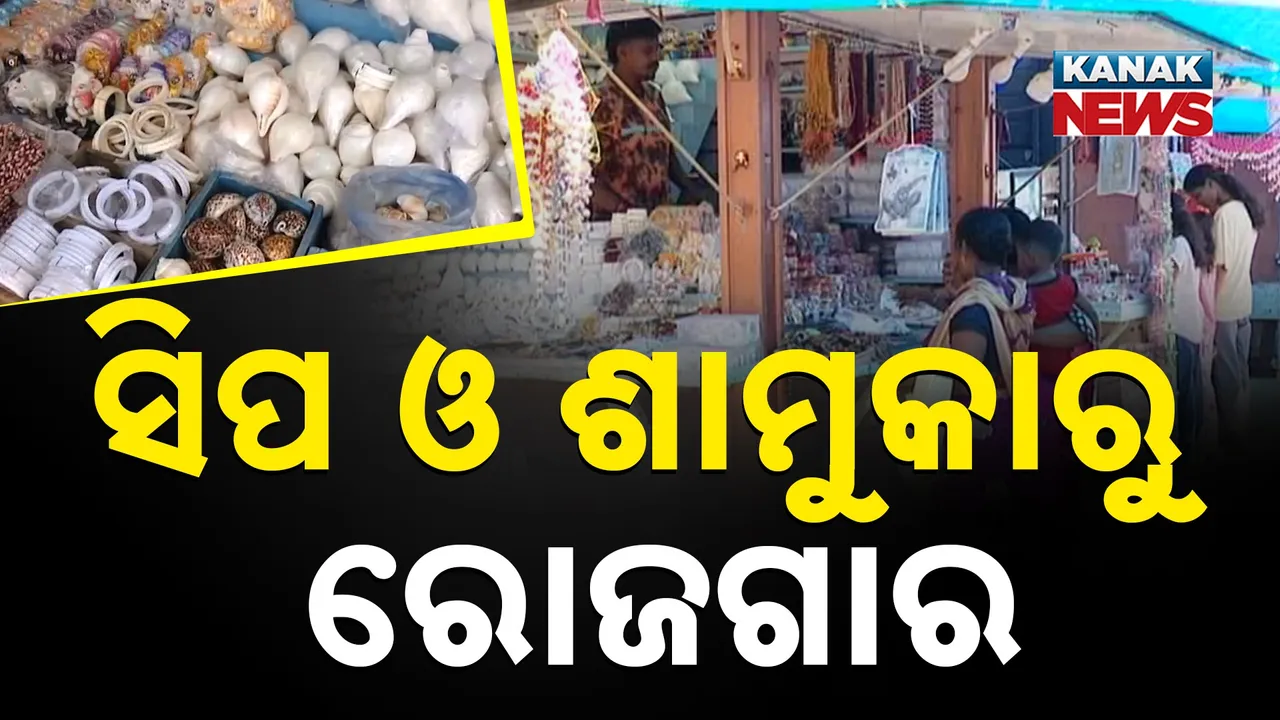  ସିପ ଓ ଶାମୁକାରୁ ରୋଜଗାର Photograph: (KanakNews) 