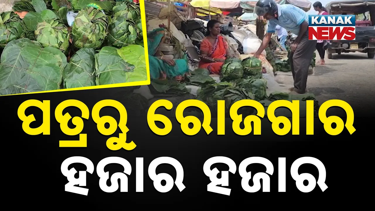  ପତ୍ରରୁ ରୋଜଗାର ହଜାର ହଜାର Photograph: (KanakNews) 
