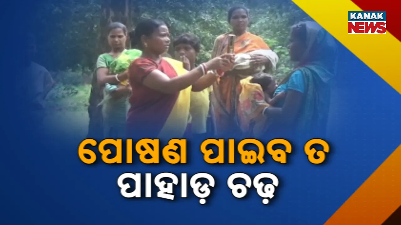  ସରକାରୀ ସହାୟତା ପାଇବାକୁ ସମସ୍ୟା କରୁଛି ମୋବାଇଲ ନେଟୱର୍କ, ପୁଷ୍ଟିକର ଖାଦ୍ୟ ପାଇଁ ଚଢ଼ିବାକୁ ପଡ଼ୁଛି ପାହାଡ଼