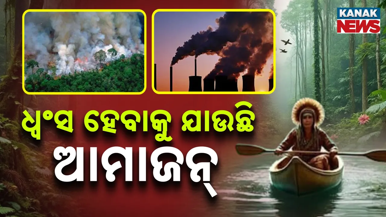  Amazon Jungle Photograph: (kanakNews) 
