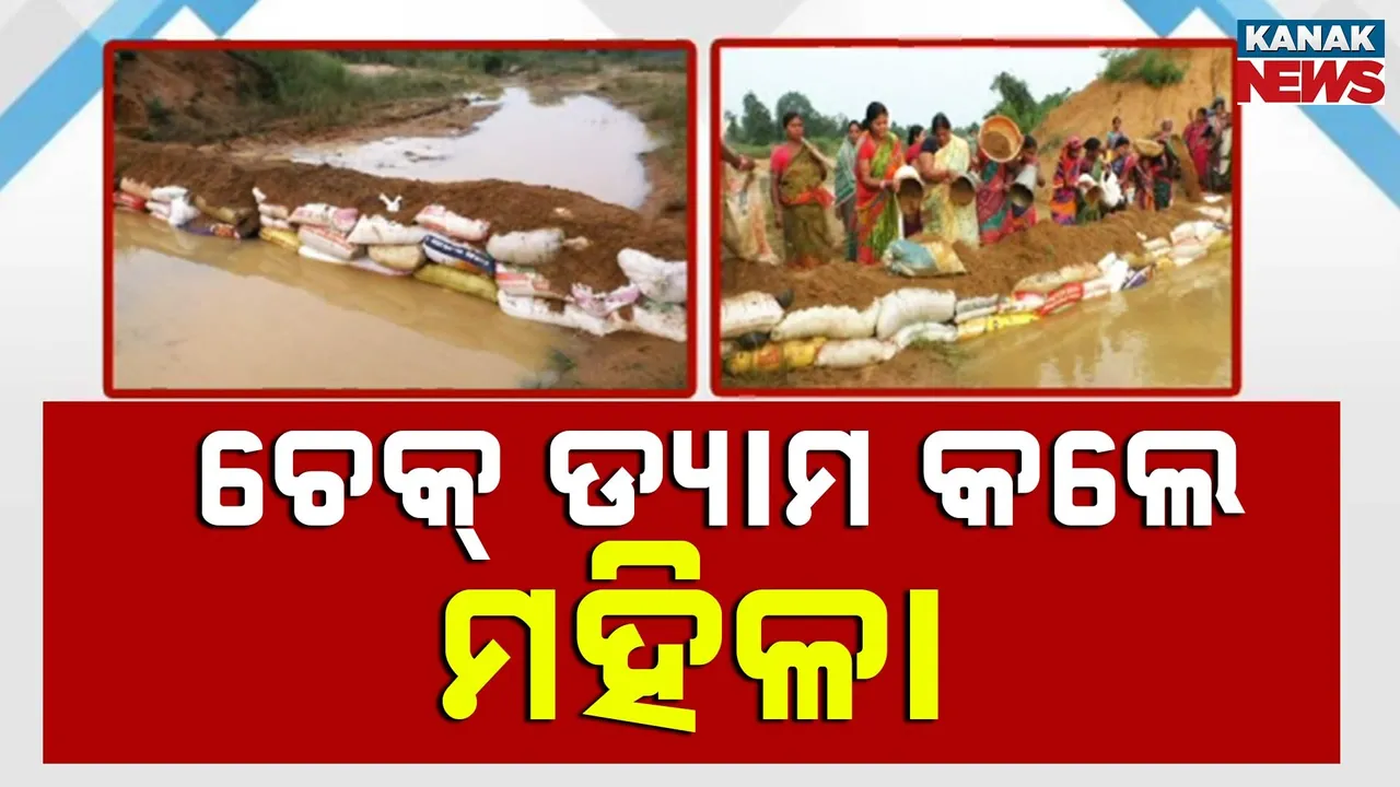  ଉଦାହରଣ ସୃଷ୍ଟି କଲେ ସୁବର୍ଣ୍ଣପୁର କଳାପଥର ଗାଁର ଶତାଧିକ ମହିଳା, ଶୁଣିଲାନି ପ୍ରଶାସନ, ଶ୍ରମଦାନ କରି ମହିଳା ତିଆରି କଲେ ଚେକ୍ ଡ୍ୟାମ