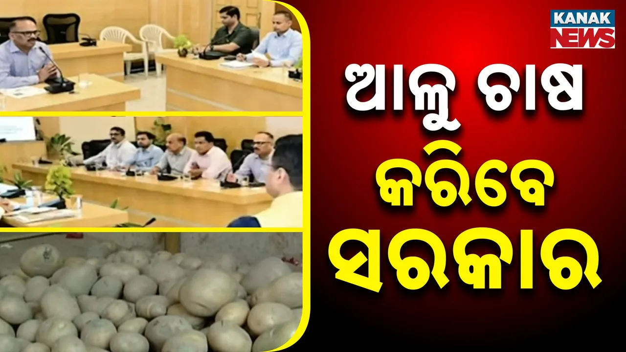  The government will cultivate potatoes Photograph: (kanaknews) 