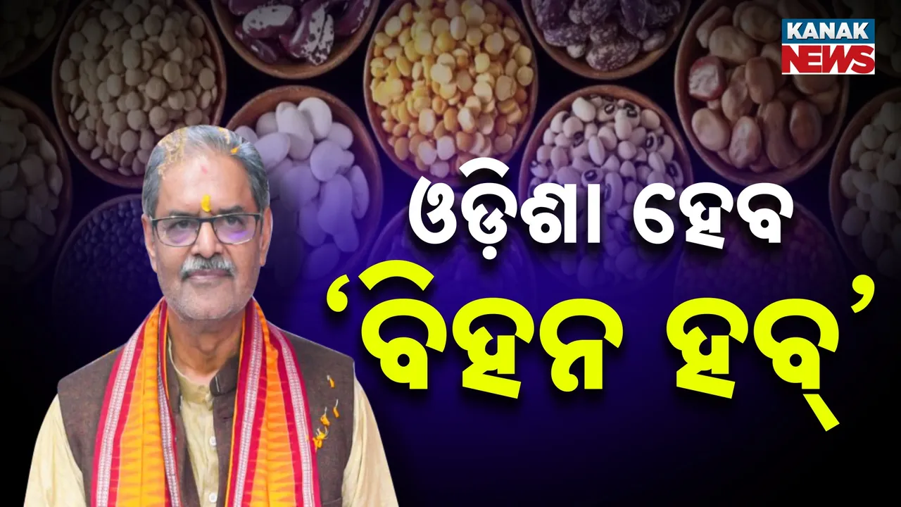  odisha will be the seed hub says the deputy cm Photograph: (kanaknews) 