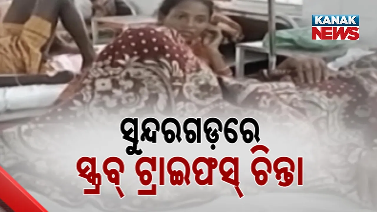  Scrub Typhus Cases Photograph: (Kanak News) 