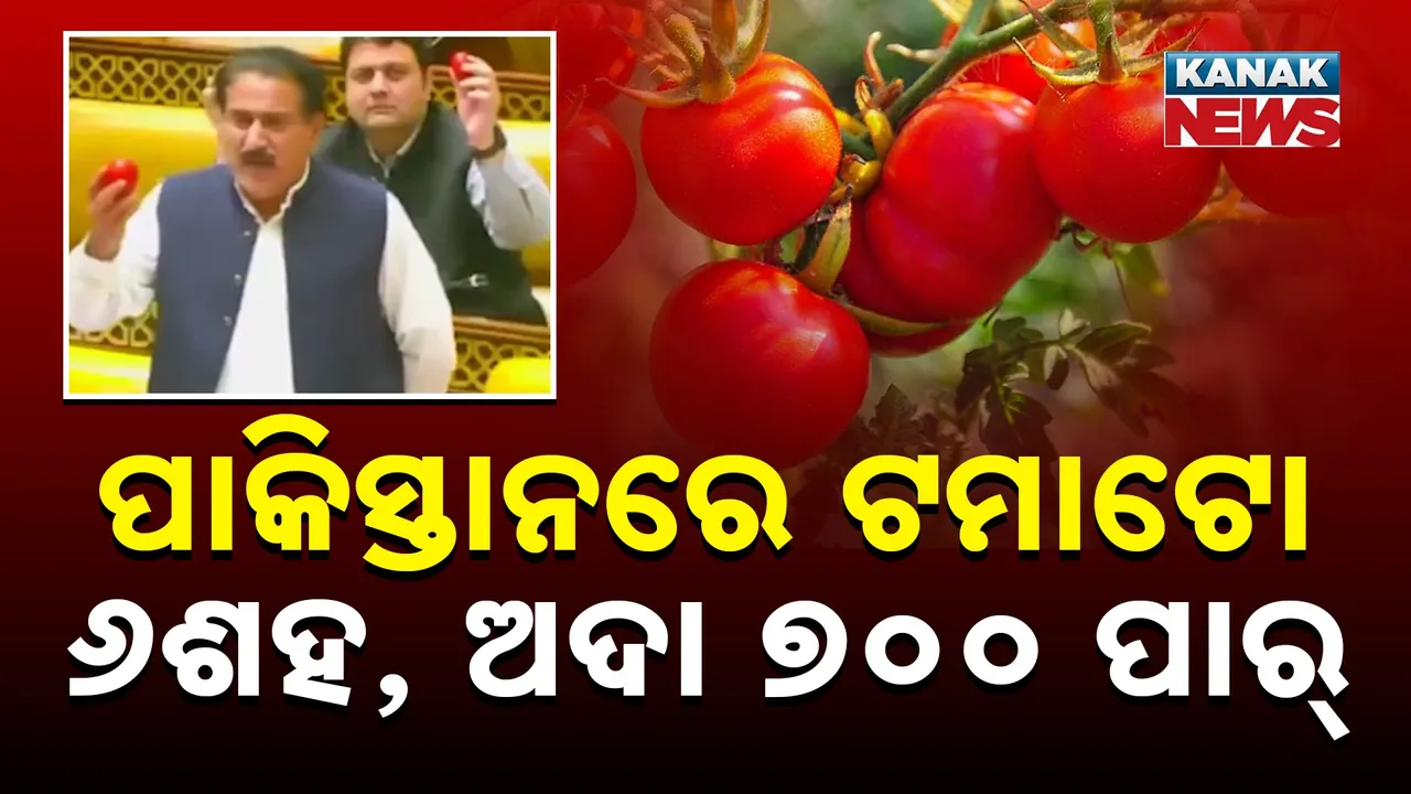  In Pakistan, tomatoes cost 600 Taka per kilogram Photograph: (kanaknews) 