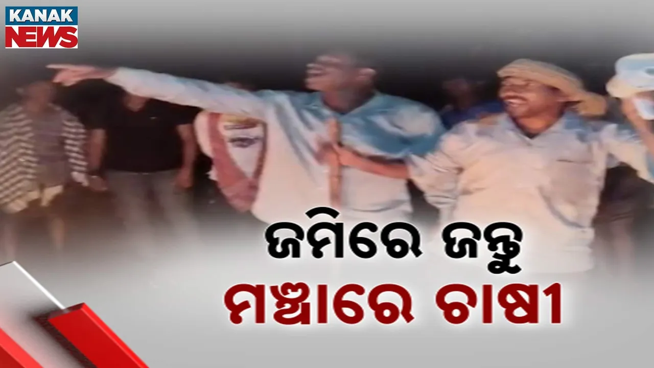  ଖୋର୍ଦ୍ଧା ଓ କାମାକ୍ଷାନଗରରେ ଏକର ଏକର ଫସଲ ନଷ୍ଟ କରୁଛନ୍ତି ବାରହା, କେନ୍ଦୁଝର ଚମ୍ପ୍ରୁଆରେ ହାତୀ ଉତ୍ପାତ, ଫସଲ ସୁରକ୍ଷା ପାଇଁ ମଞ୍ଚାରେ ରାତି କାଟୁଛି ଚାଷୀ