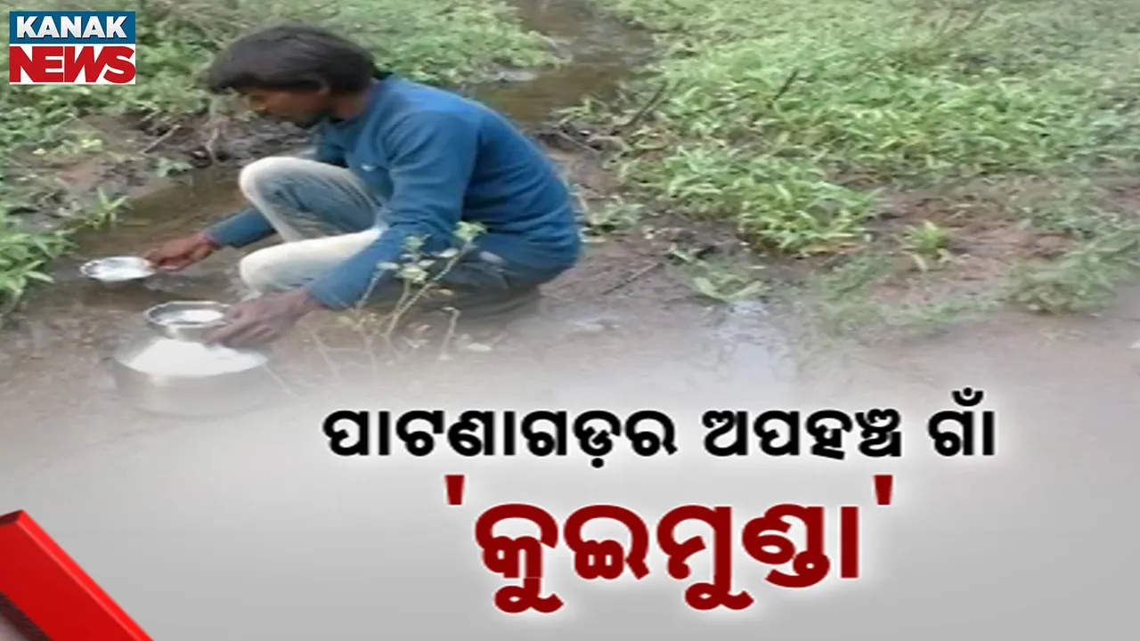  ଅପହଞ୍ଚ ପାଟଣାଗଡ଼ର କୁଇମୁଣ୍ଡା ଗାଁ, ଯାତାୟାତ ପାଇଁ ଜଙ୍ଗଲ ରାସ୍ତା ଭରସା, ବିିଦ୍ୟାଳୟ ନଥିବାରୁ ପାଠରୁ ବଞ୍ଚିତ ପିଲା