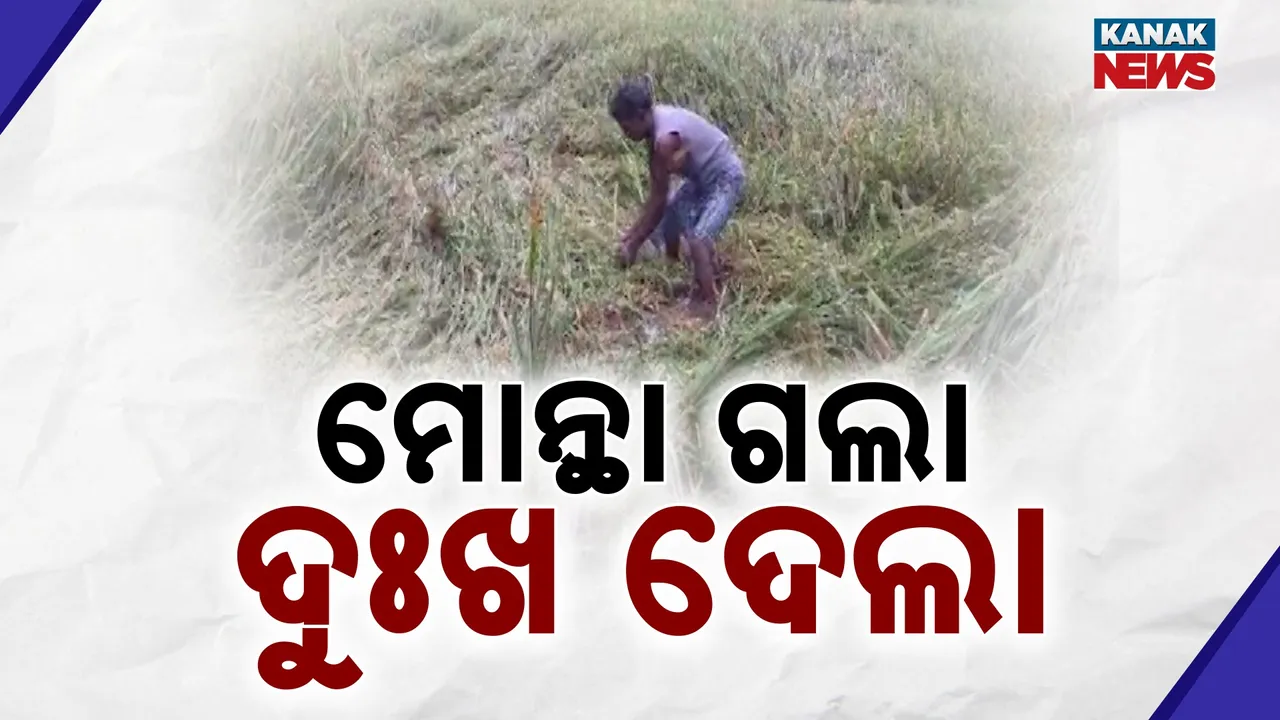  Monsoon Devastation Photograph: (Kanak News) 