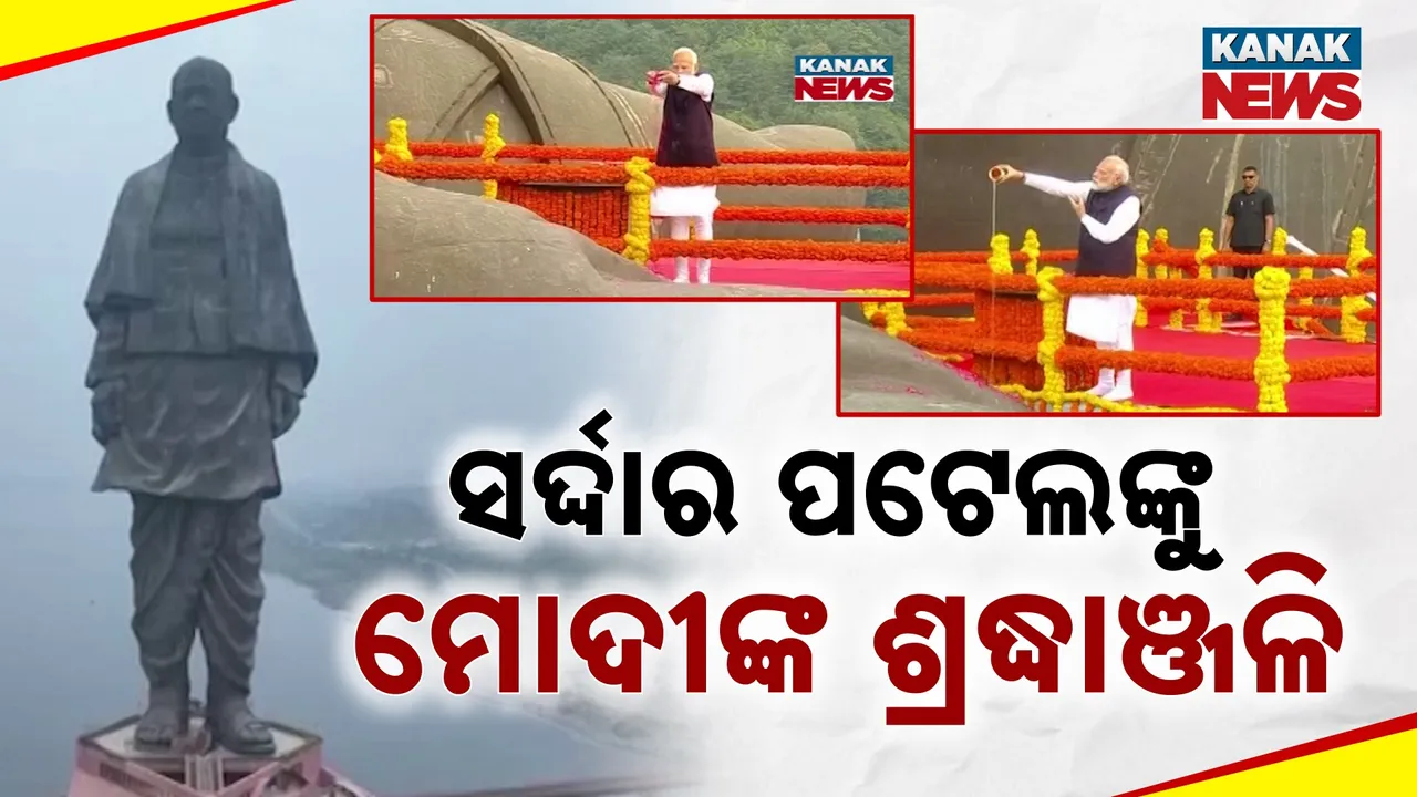  Tribute to Iron Man Photograph: (kanaknews) 