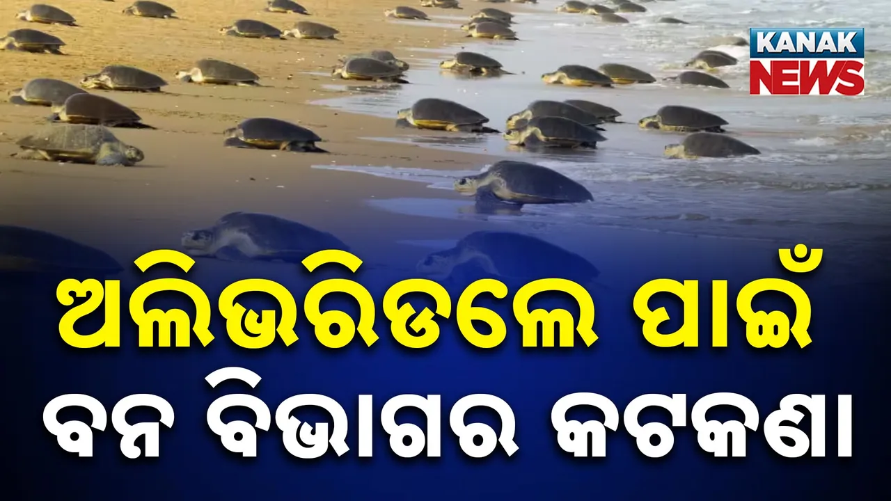  Photograph: (KANAKNEWS) 