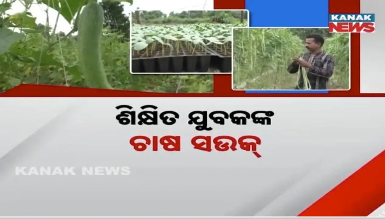  Farming Photograph: (Kanak News) 