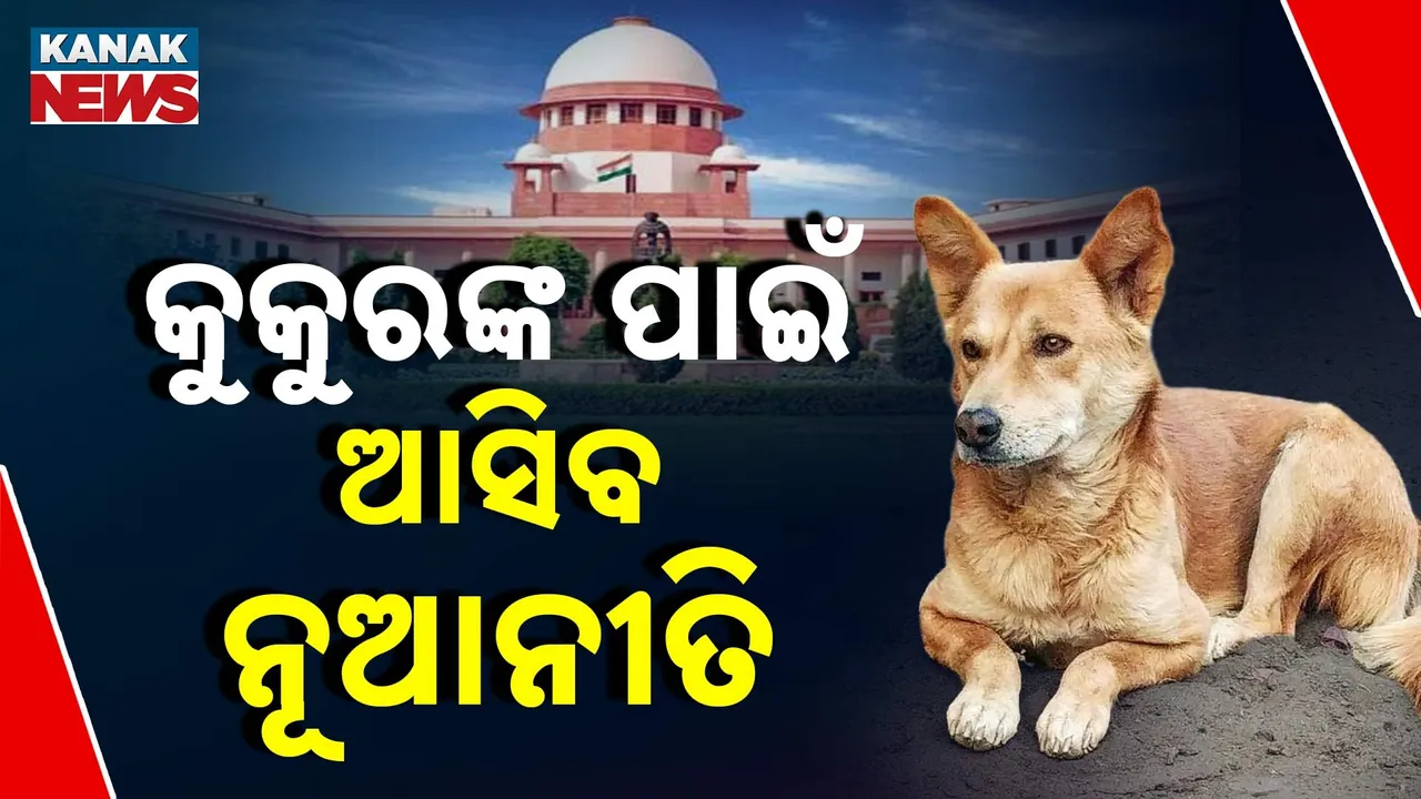  dog Photograph: (kanaknews) 