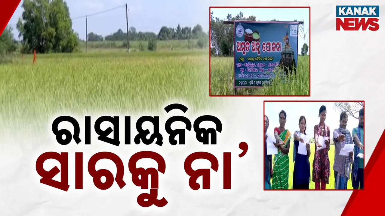  chemical fertilizers Photograph: (Kanak News) 