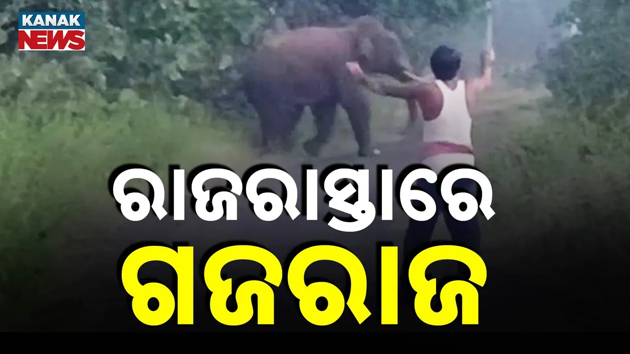  Elephant Photograph: (KanakNews) 