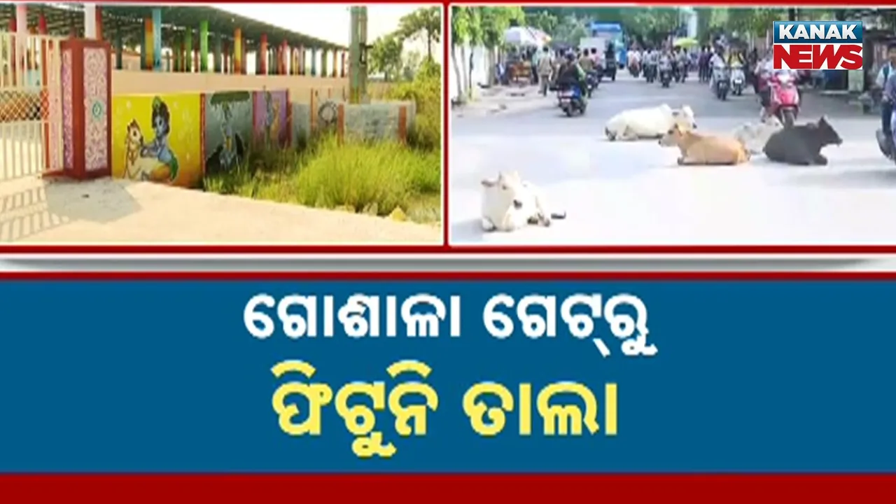  Gosala Photograph: (kanak news) 