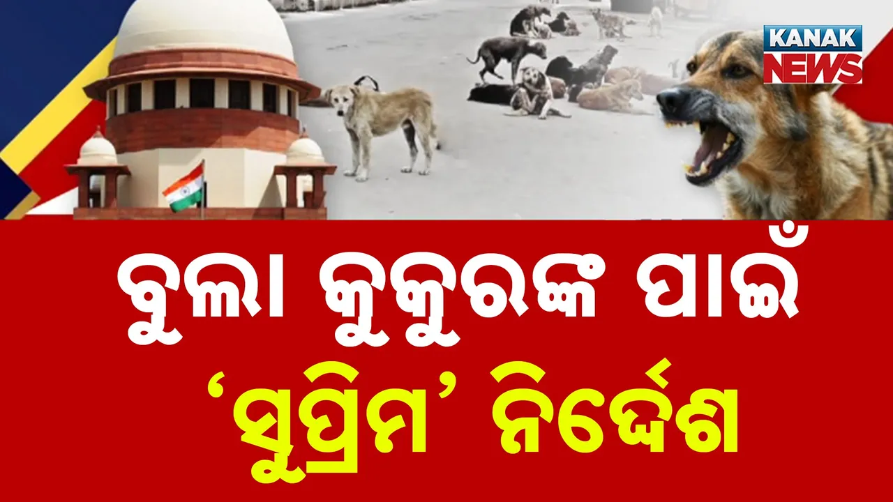  ଏଣିକି ସରକାରୀ ଅନୁଷ୍ଠାନ ଓ ବସଷ୍ଟାଣ୍ଡ ଭଳି ସ୍ଥାନରେ ରହିପାରିବେନି ବୁଲା କୁକୁର, ତୁନ୍ତ ଟୀକାକରଣ ଓ ବନ୍ଧ୍ୟାକରଣ କରି ଆଶ୍ରୟସ୍ଥଳୀରେ ଛାଡିବାକୁ ସୁପ୍ରିମ କୋର୍ଟଙ୍କ ରାୟ