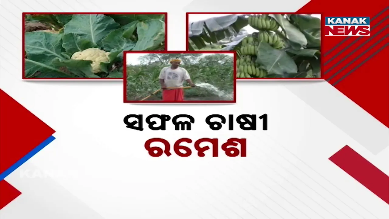  Success farmer Photograph: (KanakNews) 