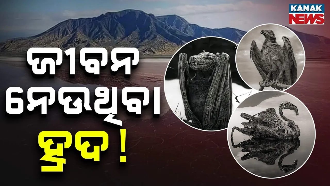  TANAZANIA-STONE Photograph: (kanak news) 