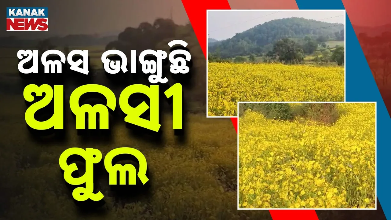  Alasi-Fula Photograph: (kanak news) 