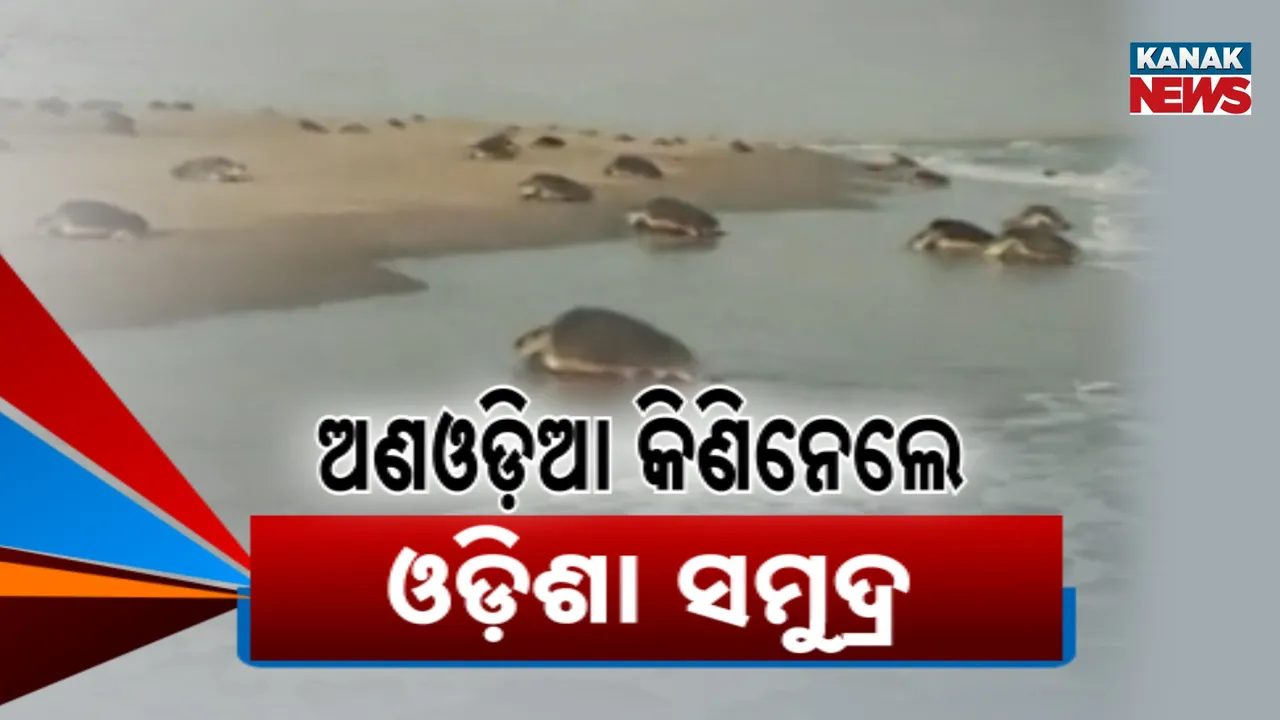  Sea Sold Photograph: (Kanak News) 