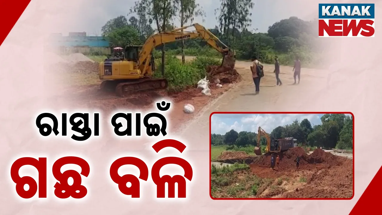  Tree Cutting Photograph: (kanak news) 