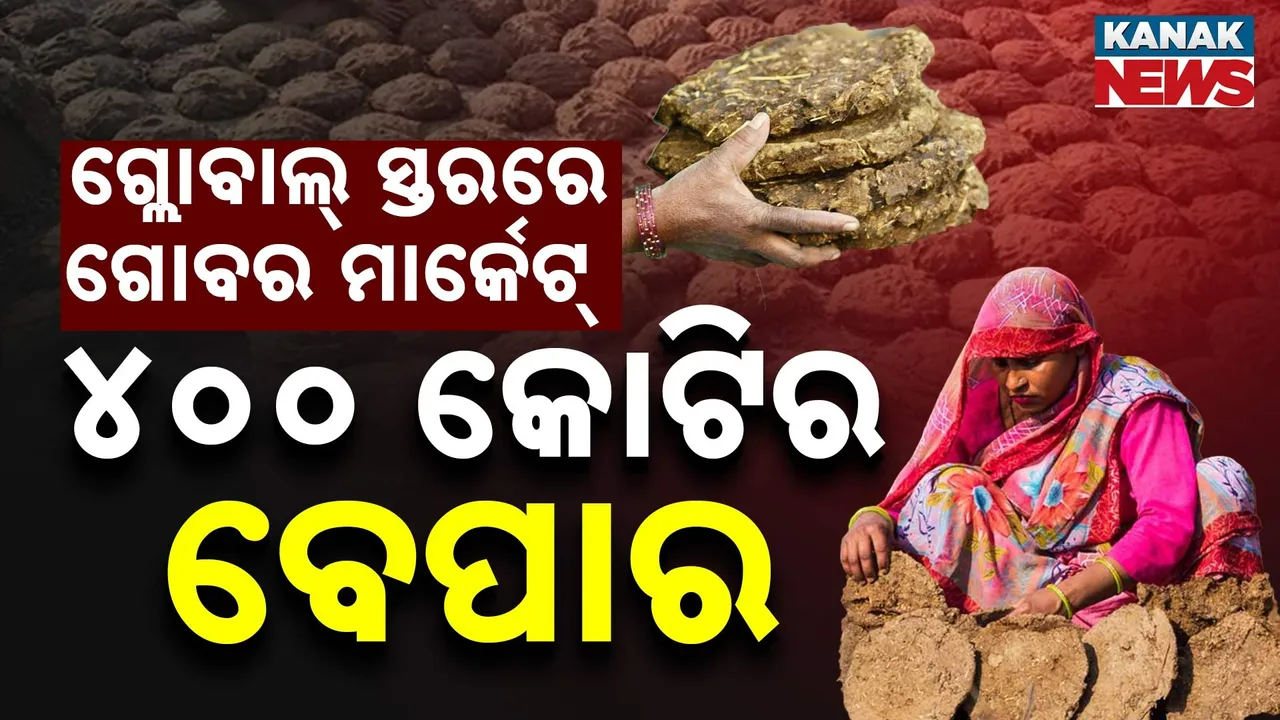  cow dung Photograph: (KanakNews) 