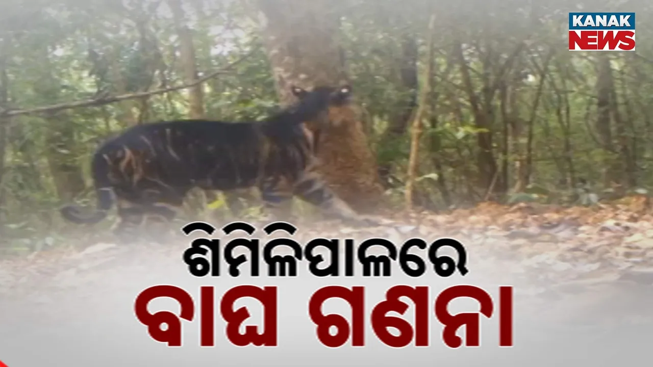  Shimilipala Photograph: (kanak news) 