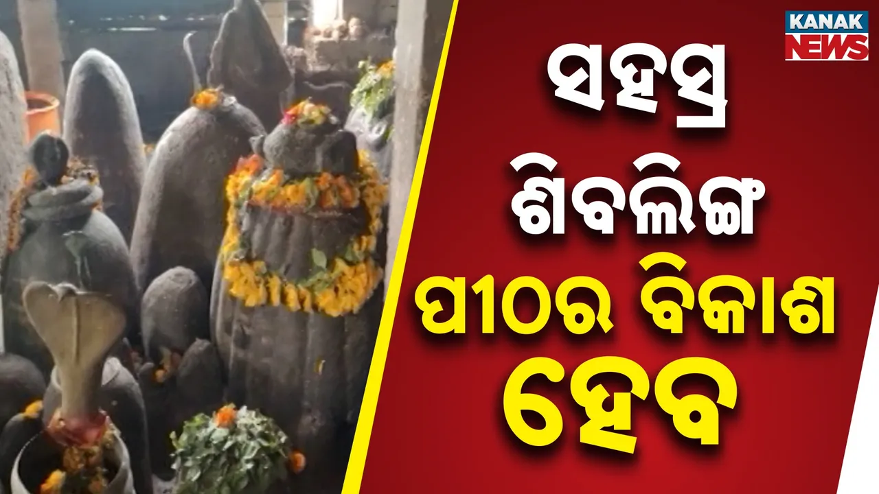  Sahasra Shivalinga Photograph: (Kanak News) 