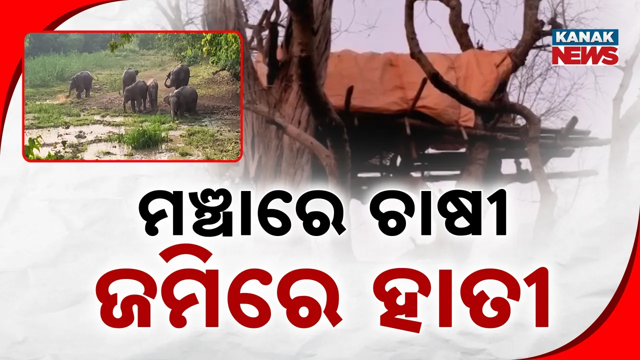  Farmer Photograph: (kanak news) 