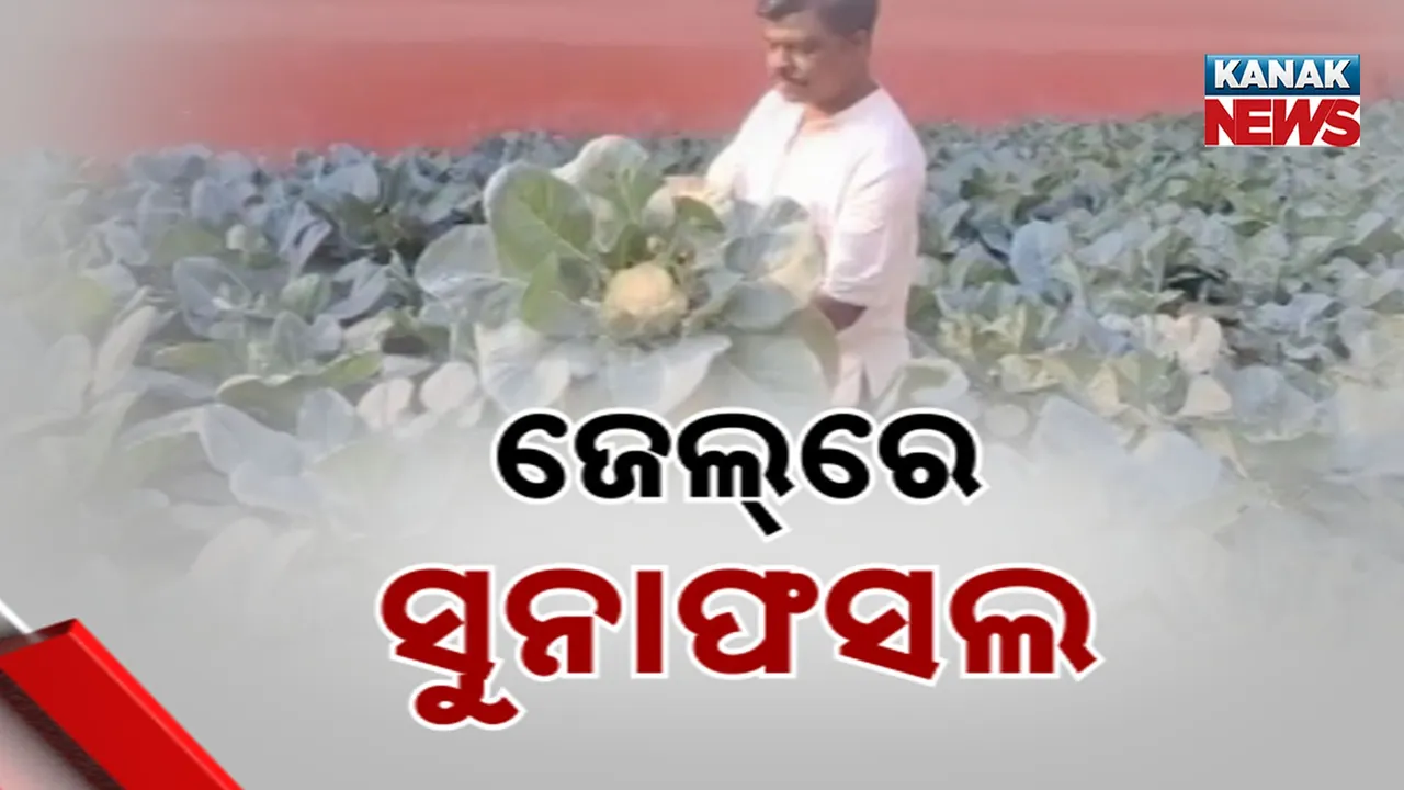  Farming in Jail Photograph: (Kanak news) 