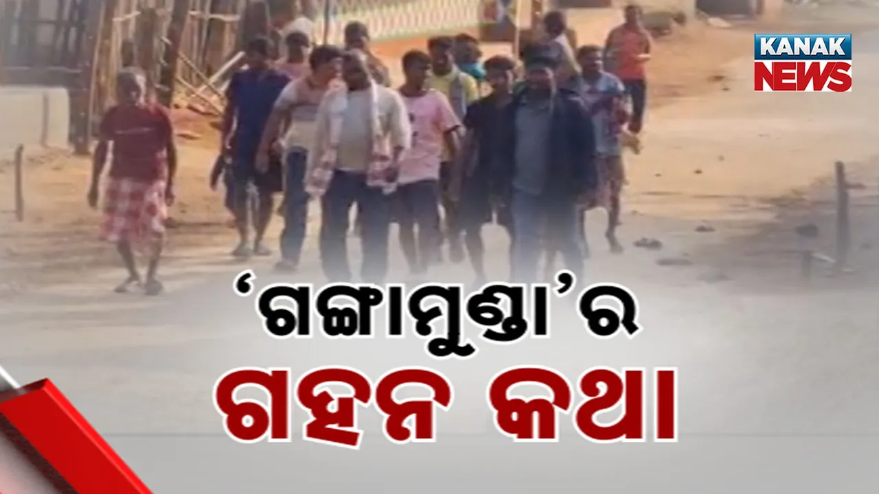  Gangamunda Photograph: (kanak news) 