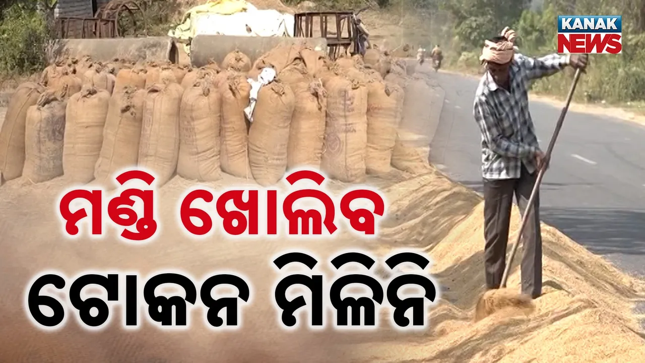  ବରଗଡ଼, ସମ୍ବଲପୁରରେ କାଲି ଖୋଲିବ ମଣ୍ଡି, ହେଲେ ଏଯାଏଁ ମିଳିନି ଟୋକନ, କିଏ ବିକିବେ ଧାନ ?