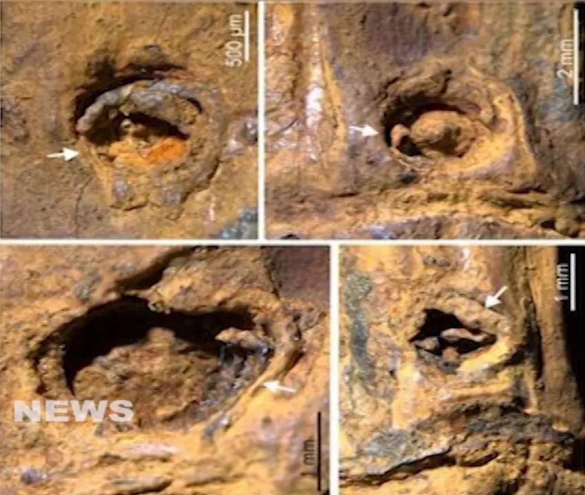  Photograph: (KANAKNEWS) 