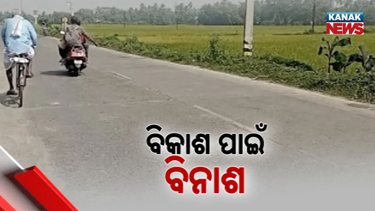  ସରକାରୀ ନିୟମକୁ ମାନୁନାହାନ୍ତି ଅଧିକାରୀ, ରାସ୍ତା ସମ୍ପ୍ରସାରଣ ପାଇଁ କାଟି ପକାଇଲେ ଗଛ