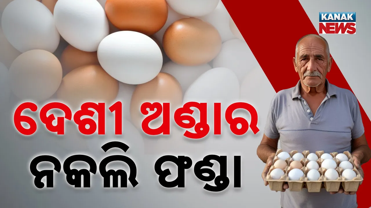  Egg Photograph: (Kanak News) 