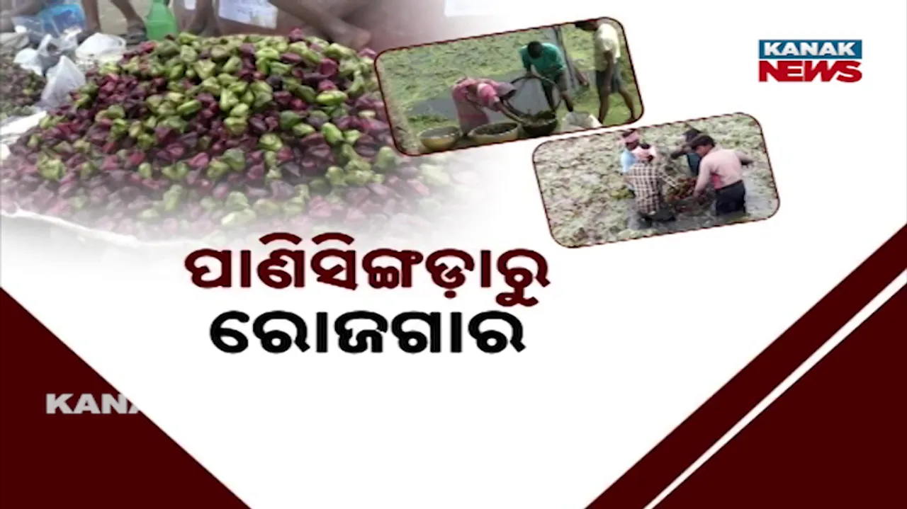  Self-reliant Photograph: (KanakNews) 