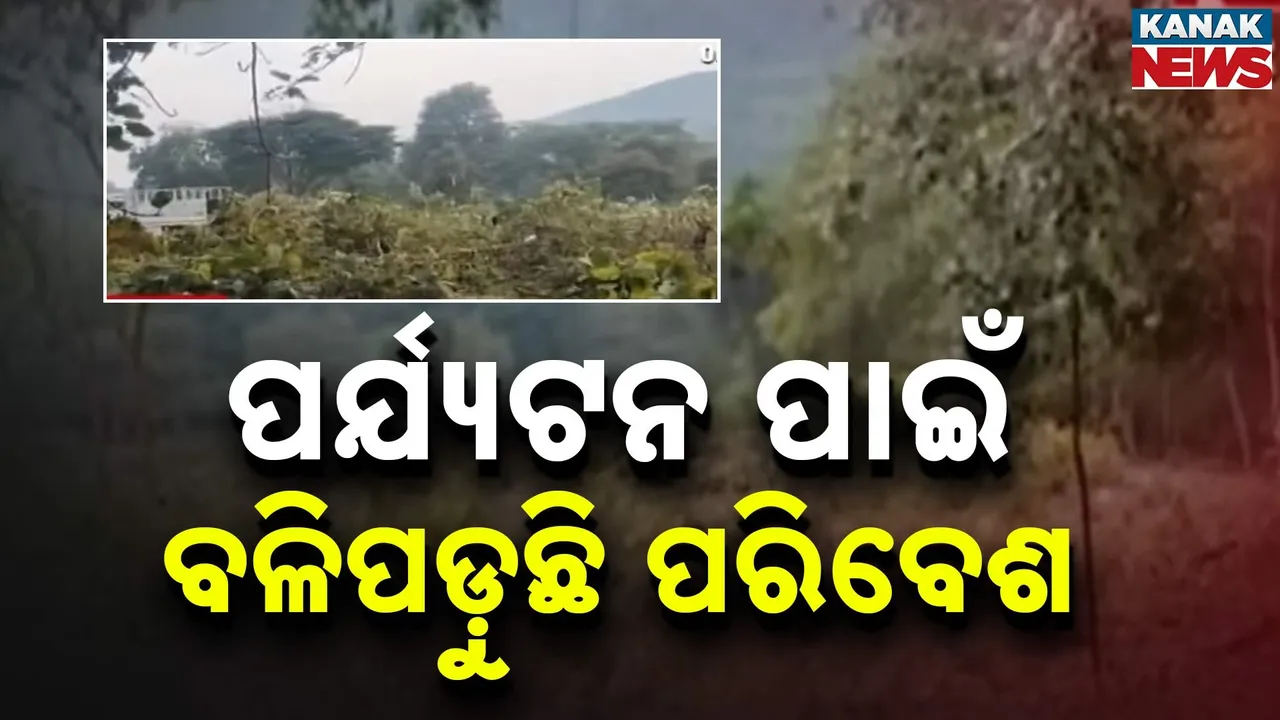  Photograph: (kanaknews) 