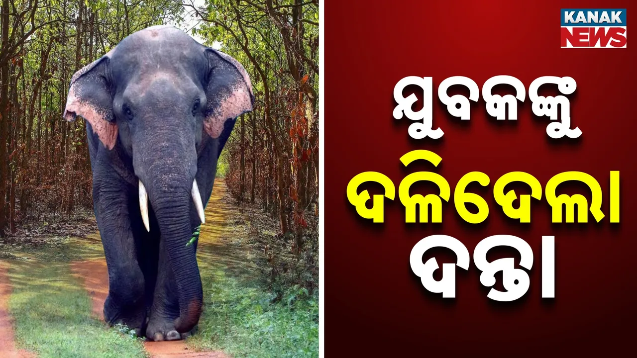  Photograph: (kanaknews) 