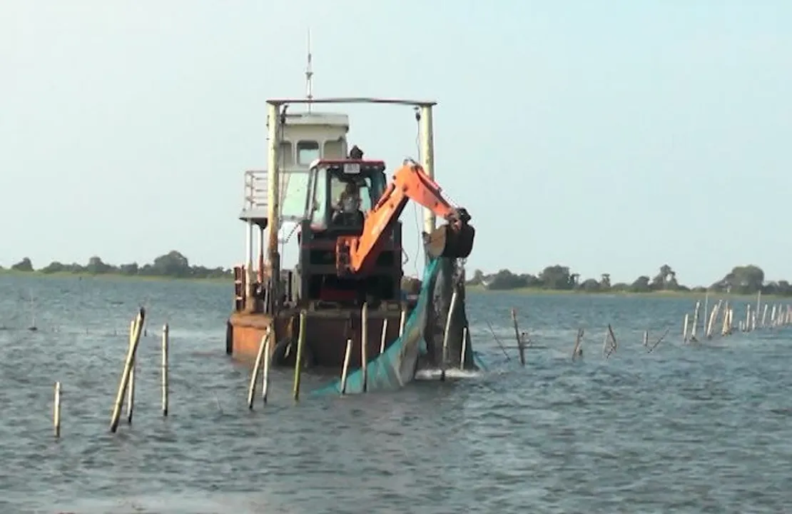  CHILIKA Photograph: (kanak news) 