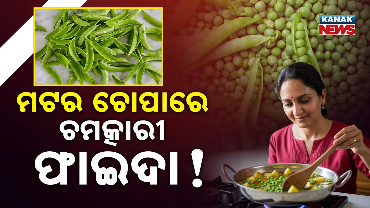  GREEN MUTTER Photograph: (KANAK NEWS) 