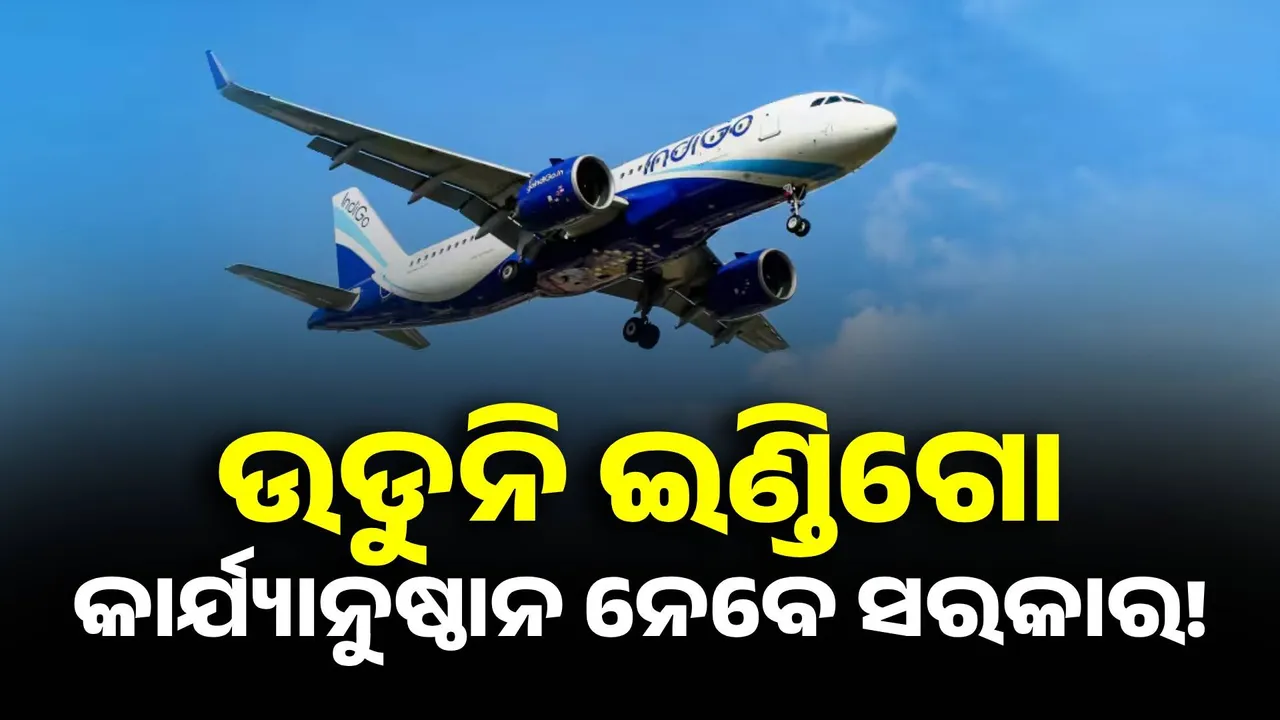  INDIGO Photograph: (KANAK NEWS) 