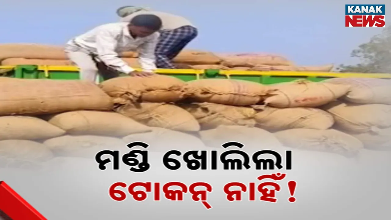  Mandi Open Photograph: (KanakNews) 