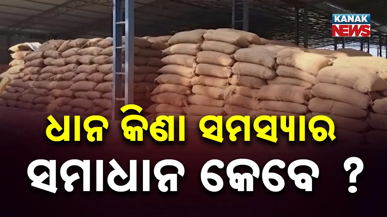  Paddy Procurement Photograph: (Kanak News) 