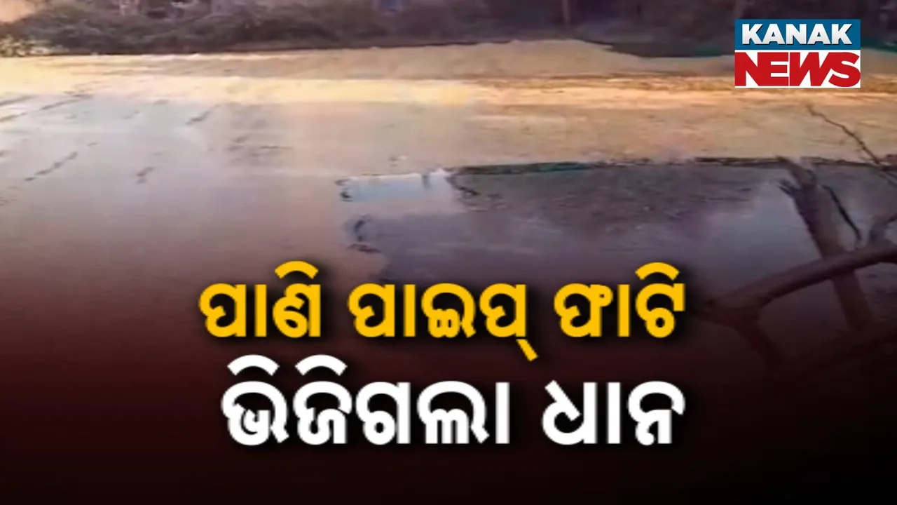  Farmer Photograph: (kanak news) 