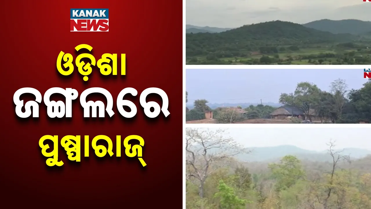  Forest Land Photograph: (Kanak News) 