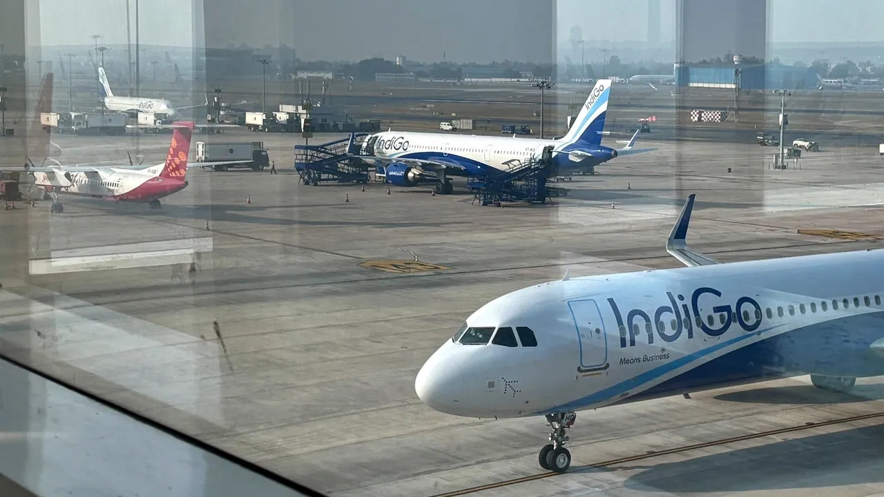  indigo Photograph: (kanak news) 