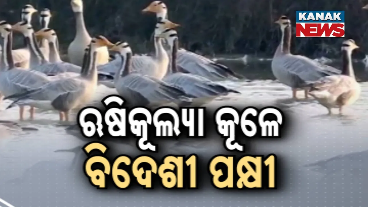  Rusikulya Photograph: (kanaknews) 