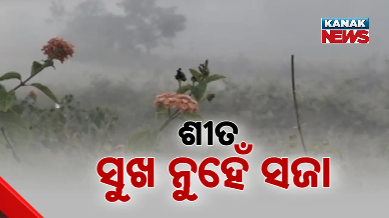  Winter Photograph: (KanakNews) 