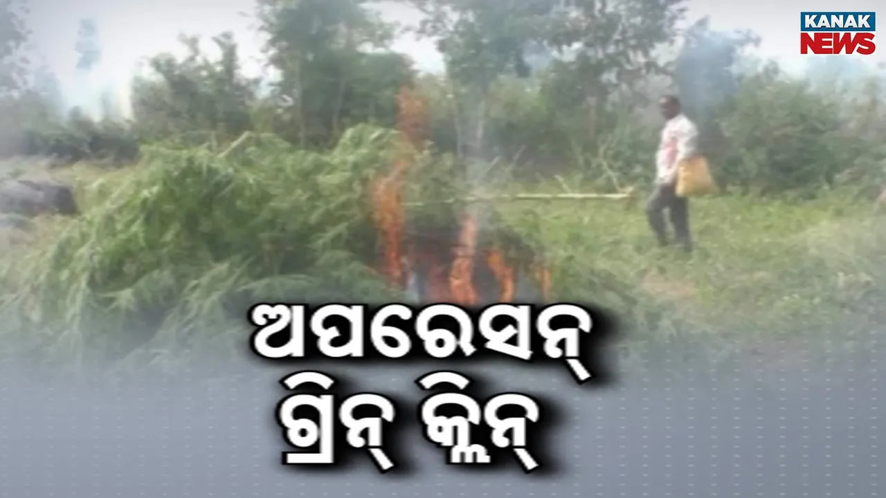  Green Clean Photograph: (kanak news) 