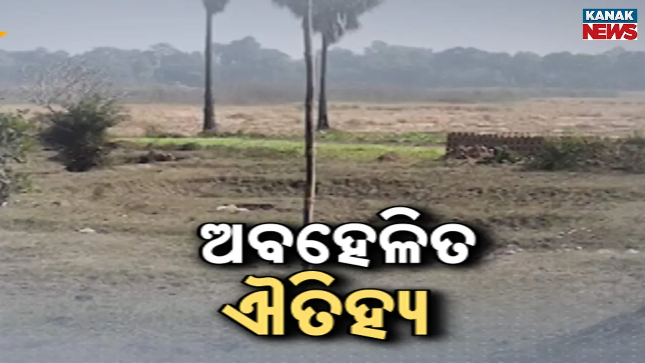  Odisha Photograph: (kanak news) 